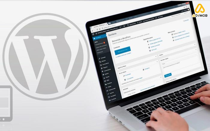 What are the alternative monetization options for free WordPress