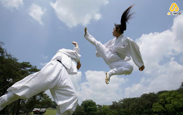 martial arts YouTube channels