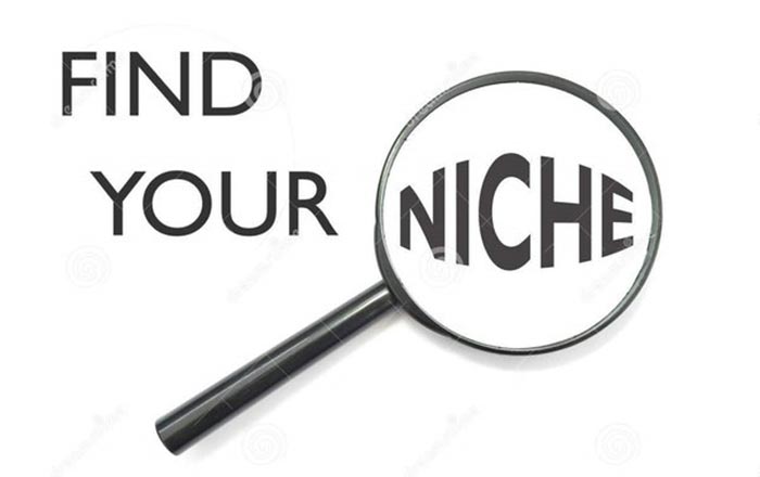 How To Address the Concerns of Using AdSense with Niche Content
