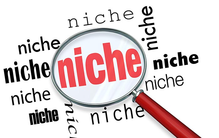 What Are the Niche Content Factors & How to Find Them